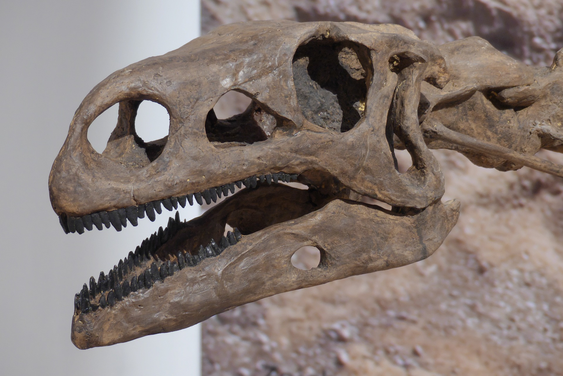 Dinosaur National Monument
